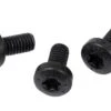 Bosch EBike Rockfall Protection Screw M4x8 - Classic