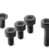 Bosch Nyon Gen.2 Screw Kit (11 Pieces)