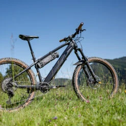 Fazua Energy Bag - E-Bike Akku Tasche -Bosch Verkaufsgeschäft fazua energy bag action