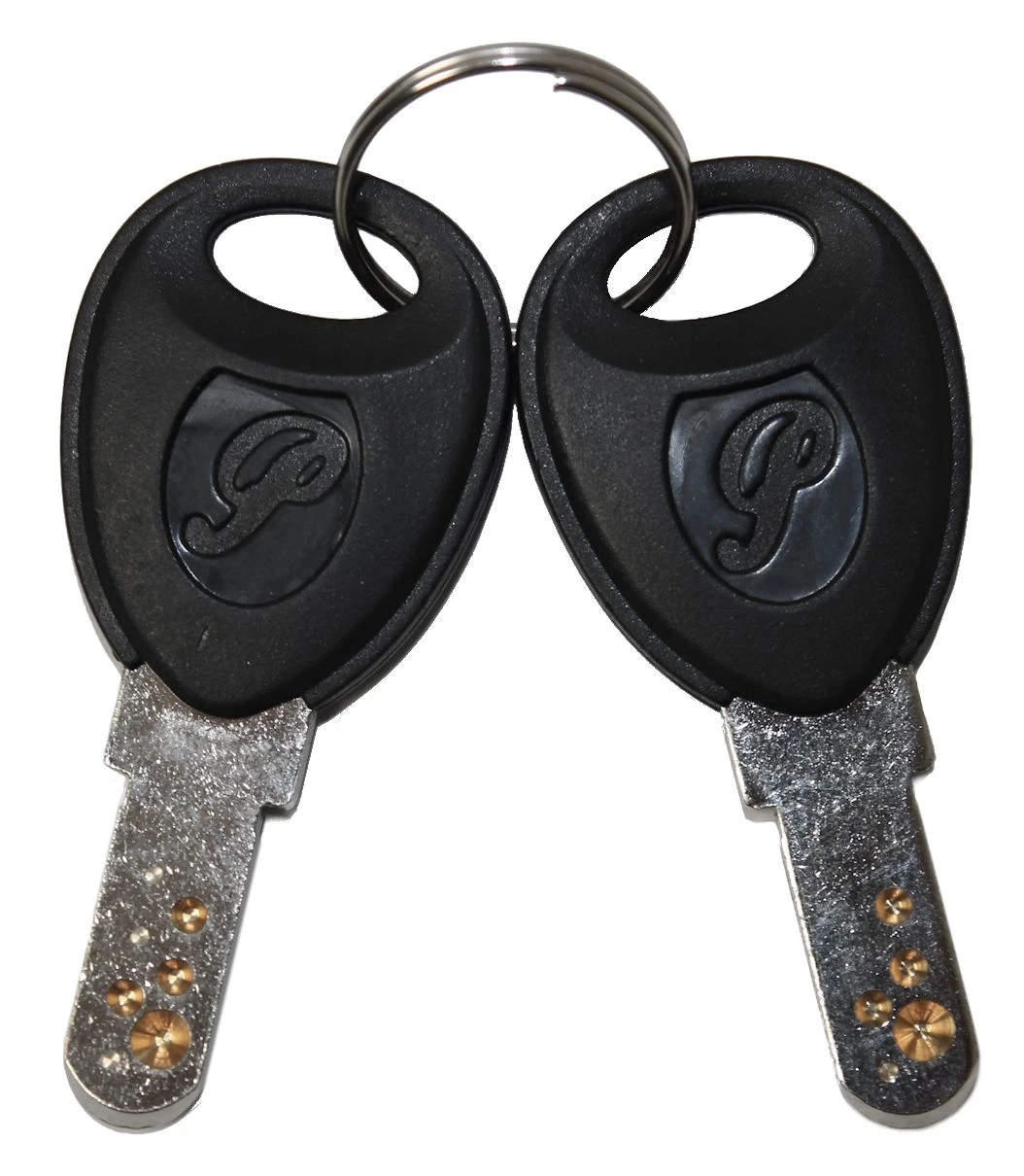 Flyer / Panasonic E-bike Replacement Key From 2007 - 1 Pair 1 Flyer / Panasonic E-bike Replacement Key From 2007 - 1 Pair