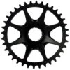 Giant DirectMount Chainring 36 Teeth Steel Narrow-Wide