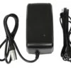 Giant Fast Charger (4A)