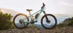 Giant Liv Tempt E+ 24 - 2023 Kinder E-Bike -Bosch Verkaufsgeschäft giant liv tempt e plus 24 3