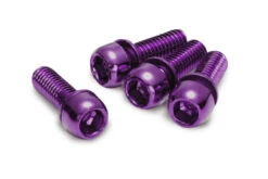 REVERSE Brake Adapter Screw Set 4 Pcs. M6x18mm -Bosch Verkaufsgeschäft reverse brake adapter screw set 4 pcs m6 18mm purple